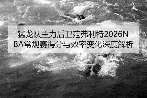 猛龙队主力后卫范弗利特2026NBA常规赛得分与效率变化深度解析